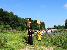 Праздник преподобного Сергия 2014, фото 11