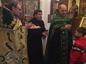 Вербное воскресенье 2015г., фото 4