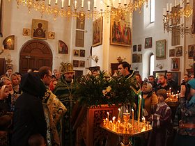 Вербное воскресенье 2015г., фото 12