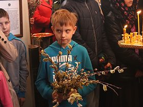 Вербное воскресенье 2017, фото 7