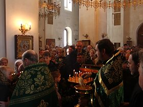 Вербное воскресенье 2017, фото 9