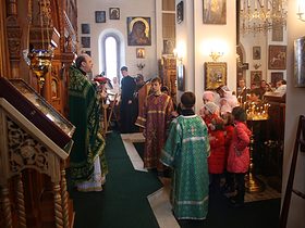 Вход Господень в Иерусалим (Вербное воскресенье), фото 8