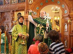 Вход Господень в Иерусалим (Вербное воскресенье), фото 11