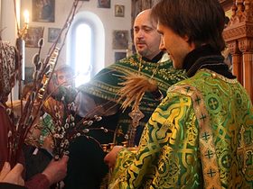Вход Господень в Иерусалим (Вербное воскресенье), фото 12